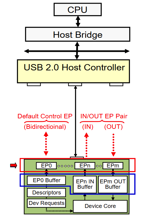 Device Endpoints and Associated Buffers.png